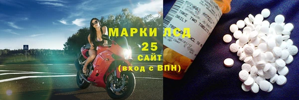 ПСИЛОЦИБИНОВЫЕ ГРИБЫ Алзамай