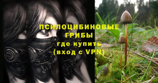 ПСИЛОЦИБИНОВЫЕ ГРИБЫ Алзамай