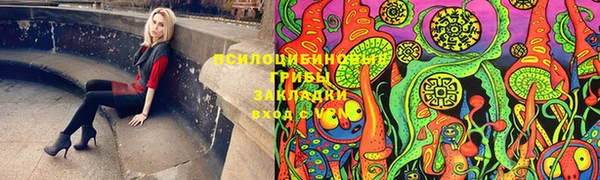 ПСИЛОЦИБИНОВЫЕ ГРИБЫ Алзамай