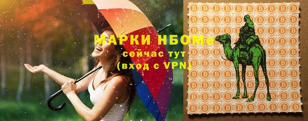 ПСИЛОЦИБИНОВЫЕ ГРИБЫ Алзамай