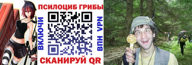 Псилоцибиновые грибы Cubensis  магазин  наркотиков  Ревда 